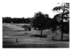 Golf Grounds Forsyth Country Club