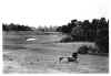 Golf Grounds, Country Club, Charlotte