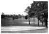 Golf Grounds, Myers Park Club