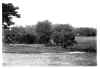 Golf Grounds, Myers Park Club